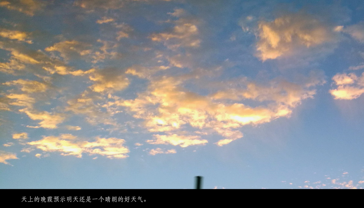 澳新十四日（048）