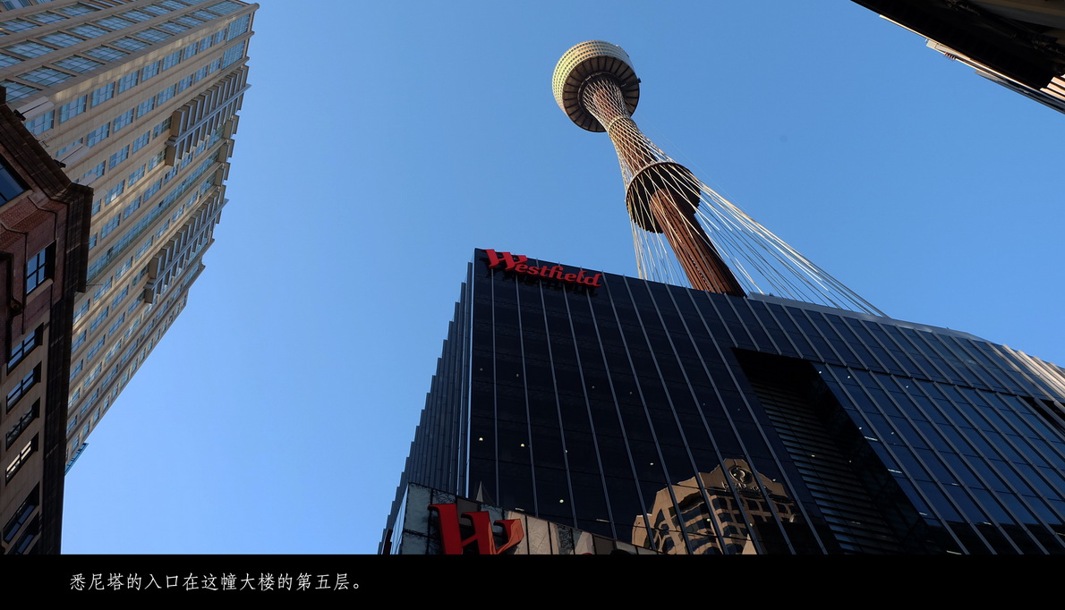 澳新十四日（092）