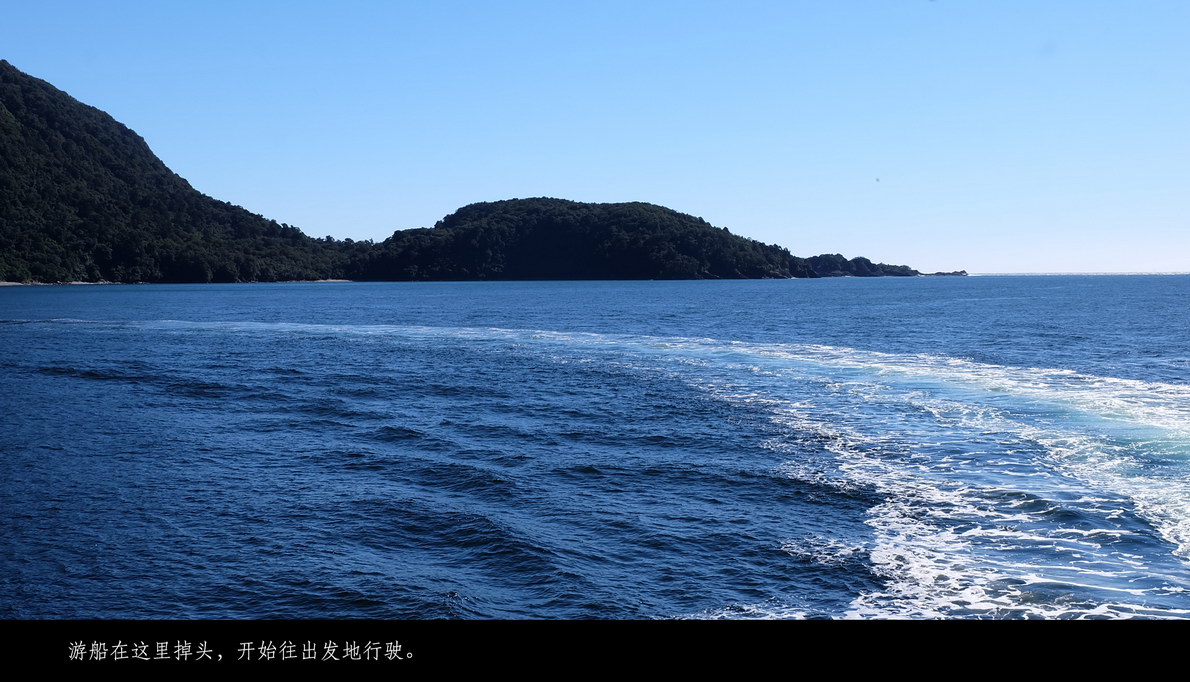 澳新十四日（452）