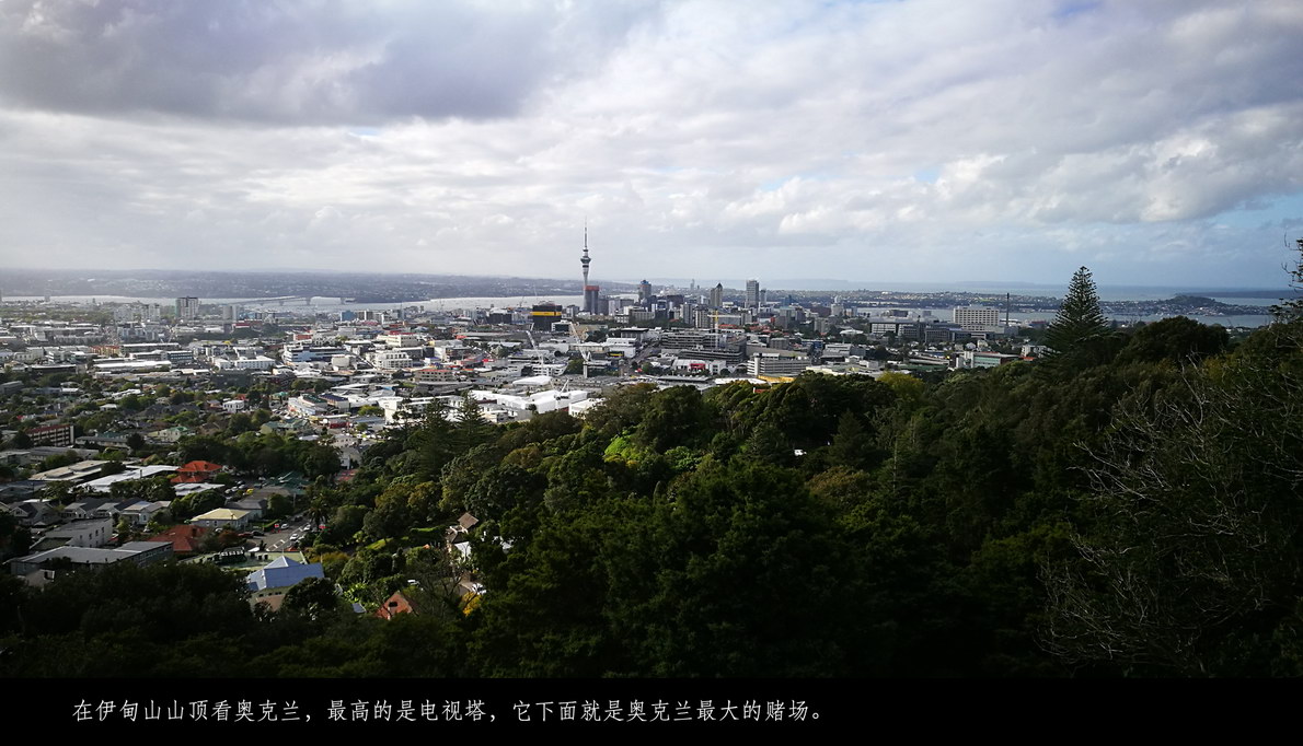 澳新十四日（632）