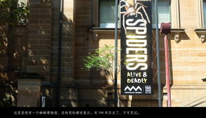 ausnz024