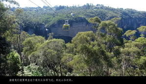 ausnz064