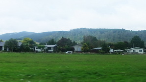 ausnz606