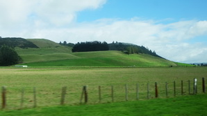 ausnz608