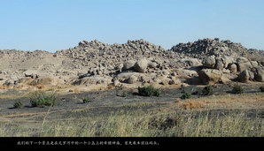egypt244