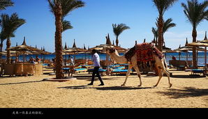 egypt409