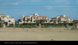 egypt424