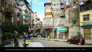 egypt446