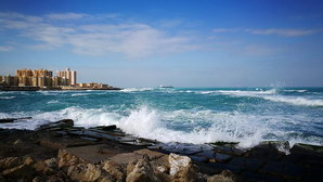 egypt453