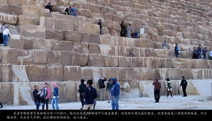 egypt482