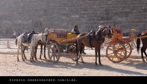egypt483