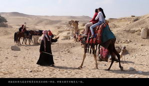 egypt489