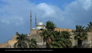 egypt494