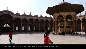 egypt498