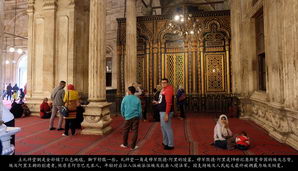 egypt500