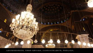 egypt501