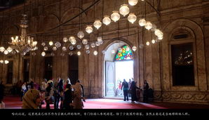 egypt503
