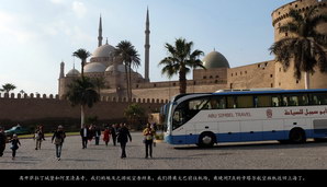 egypt506