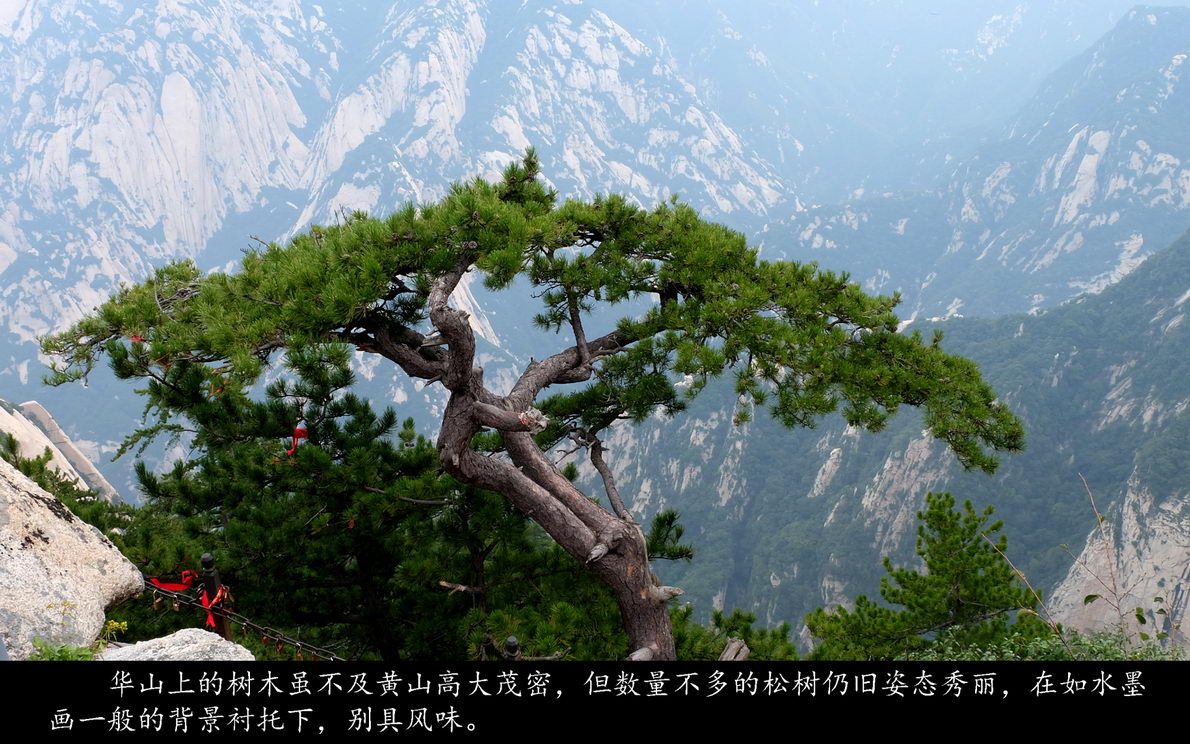 登西岳华山（036）