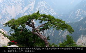 huashan035