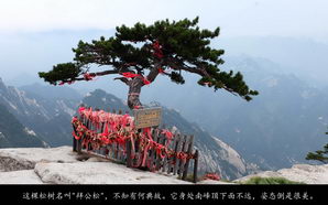 huashan056