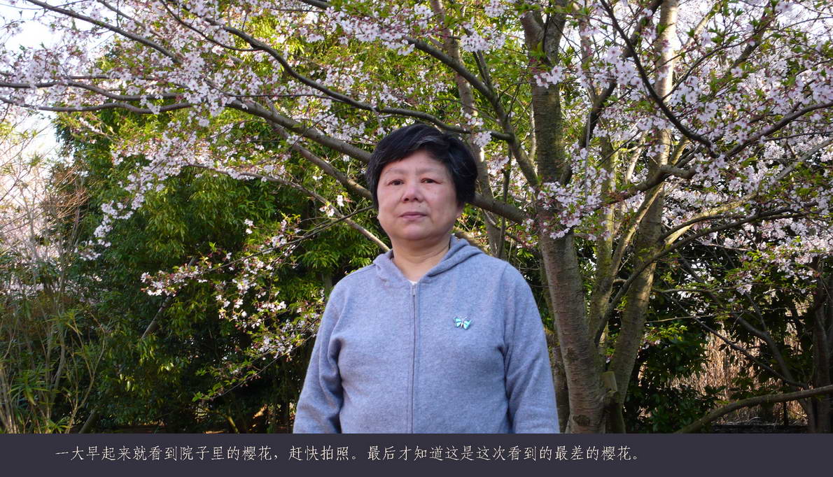 日本观樱游（010）