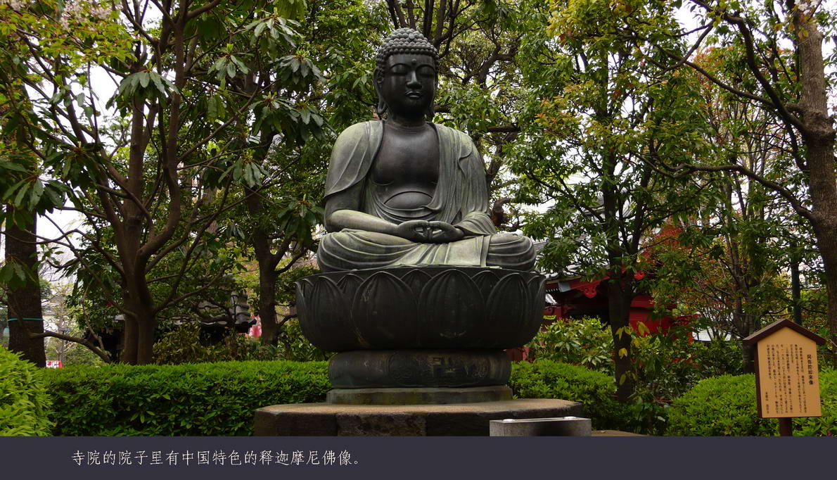 日本观樱游（063）