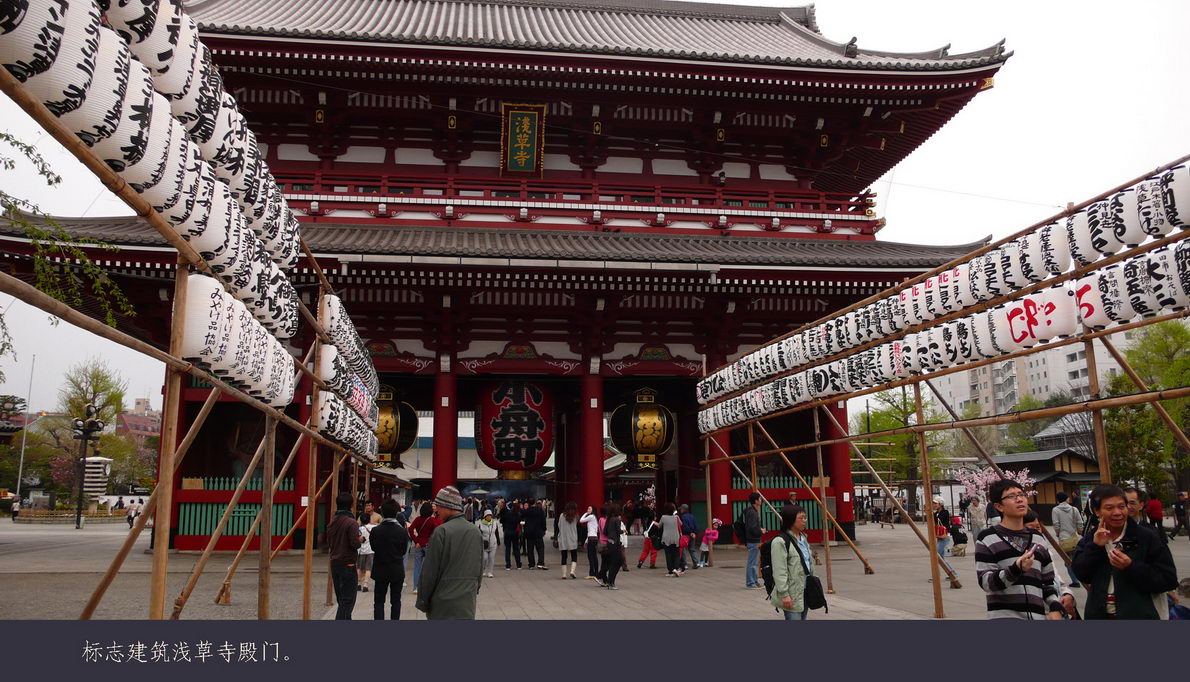 日本观樱游（065）