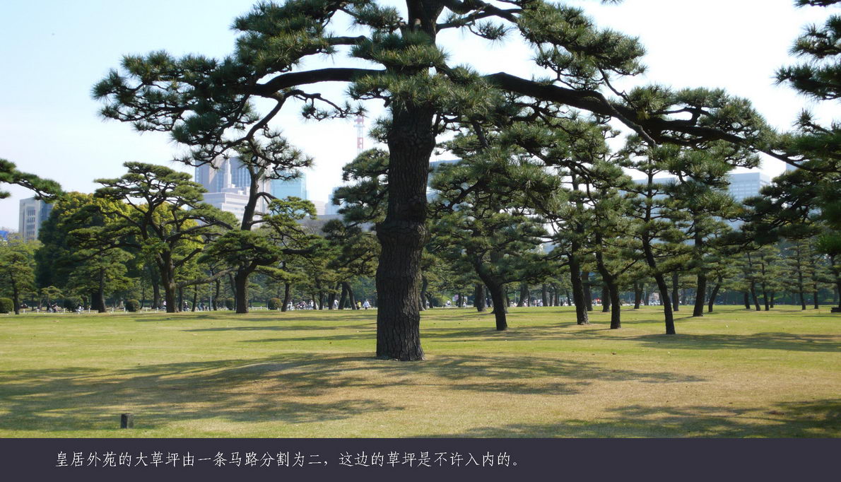 日本观樱游（083）