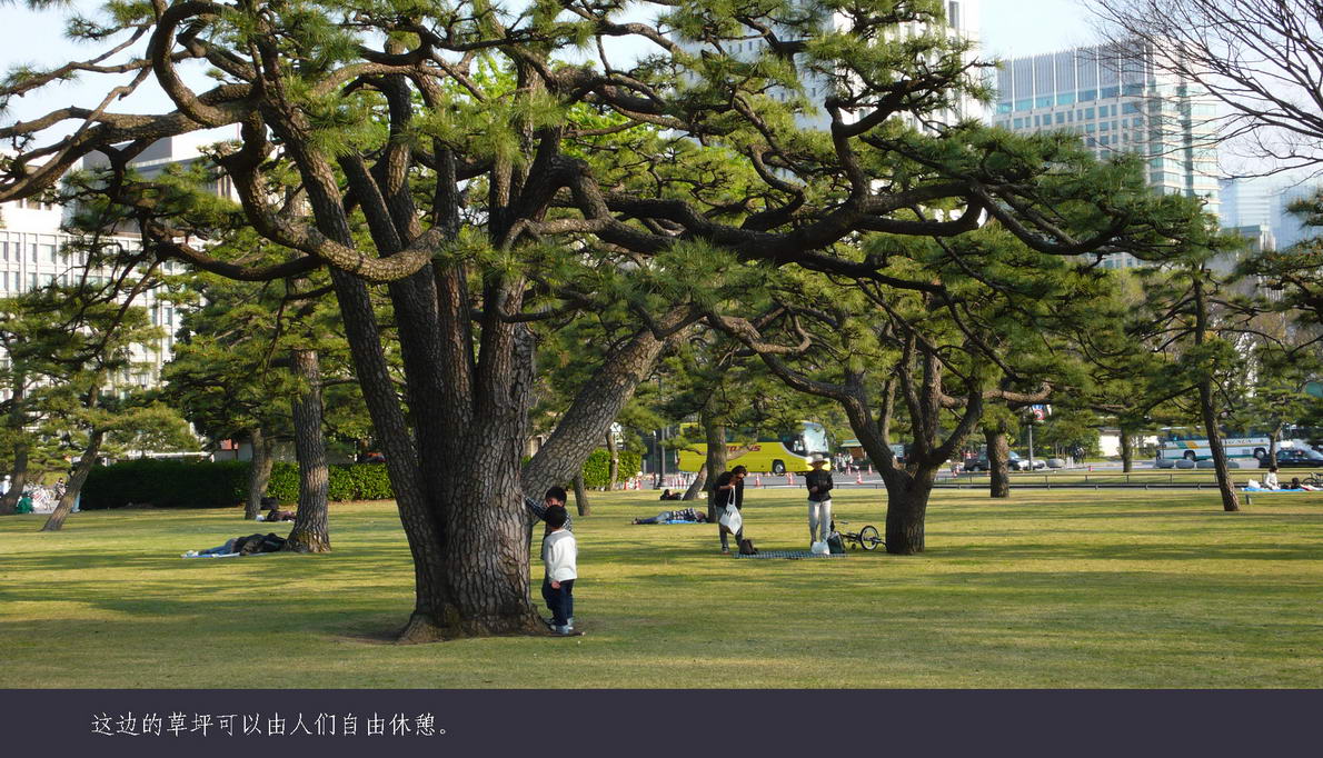 日本观樱游（084）