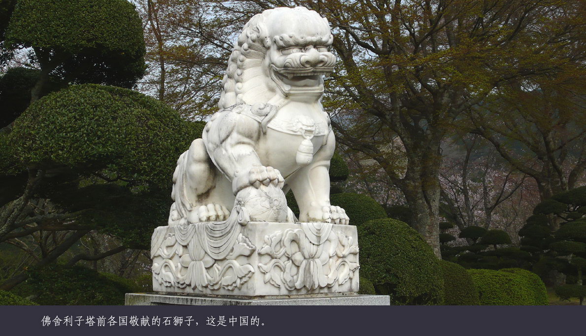 日本观樱游（135）