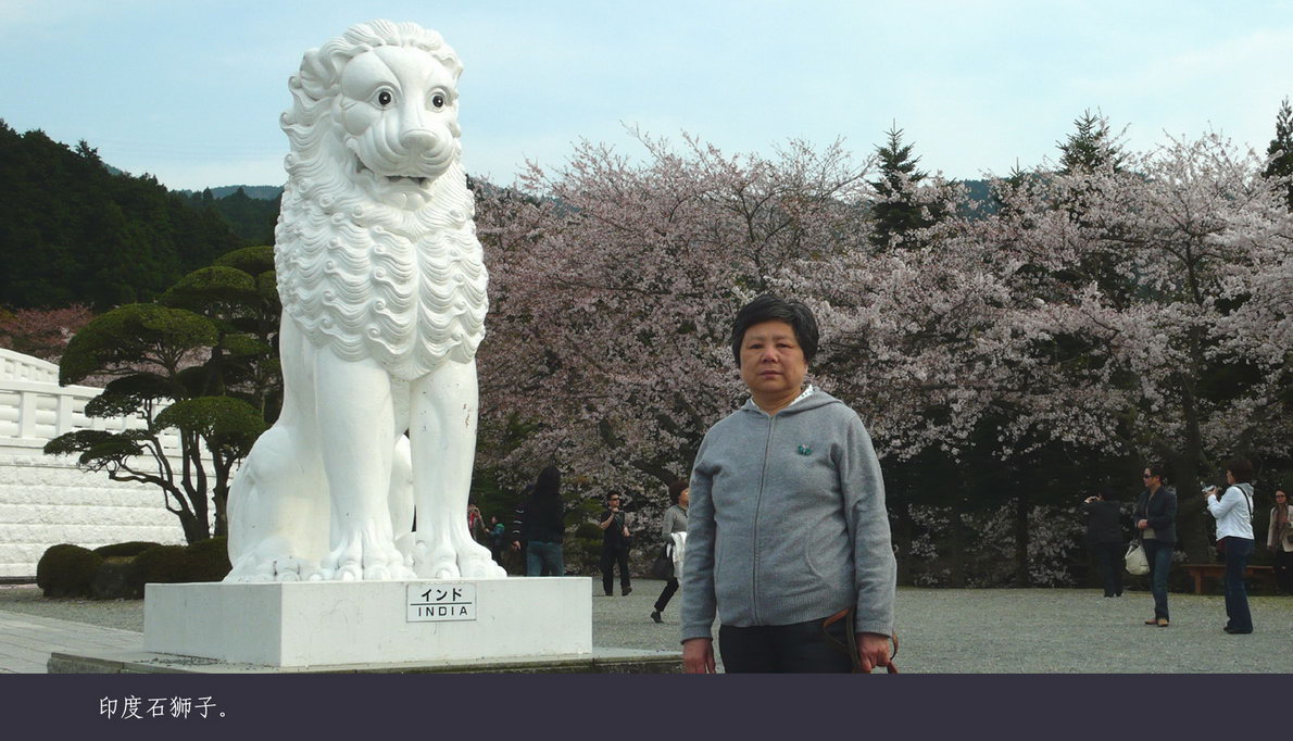 日本观樱游（138）