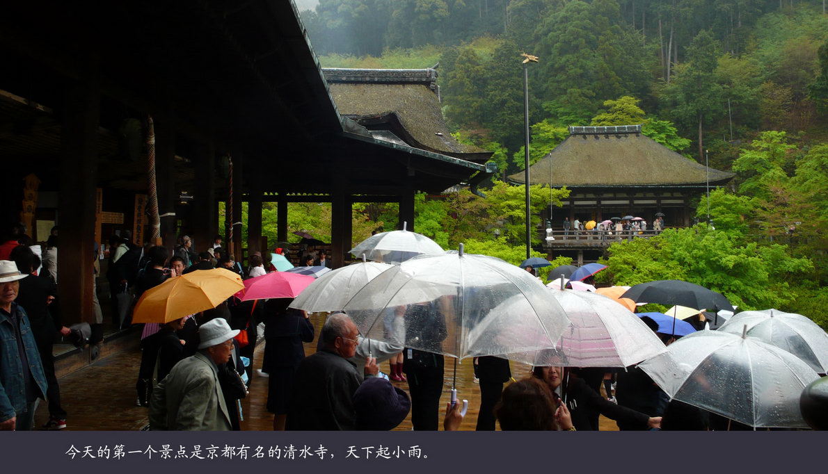 日本观樱游（146）