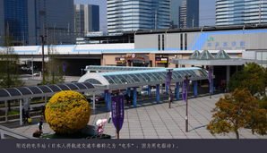 japan034