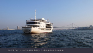 japan047