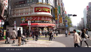 japan074