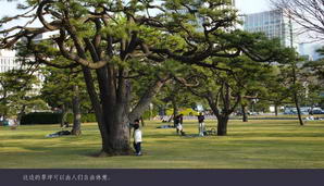 japan083