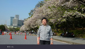 japan088