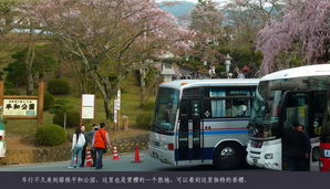 japan129