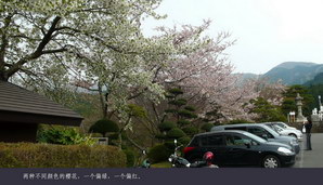 japan132