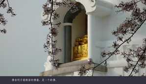 japan139
