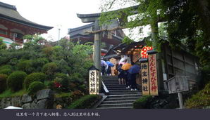 japan146