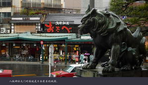 japan164
