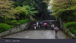 japan168