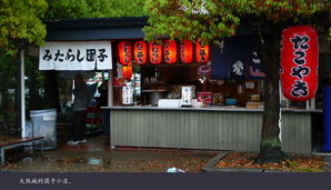 japan176