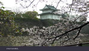 japan178