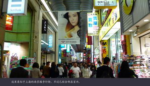japan181