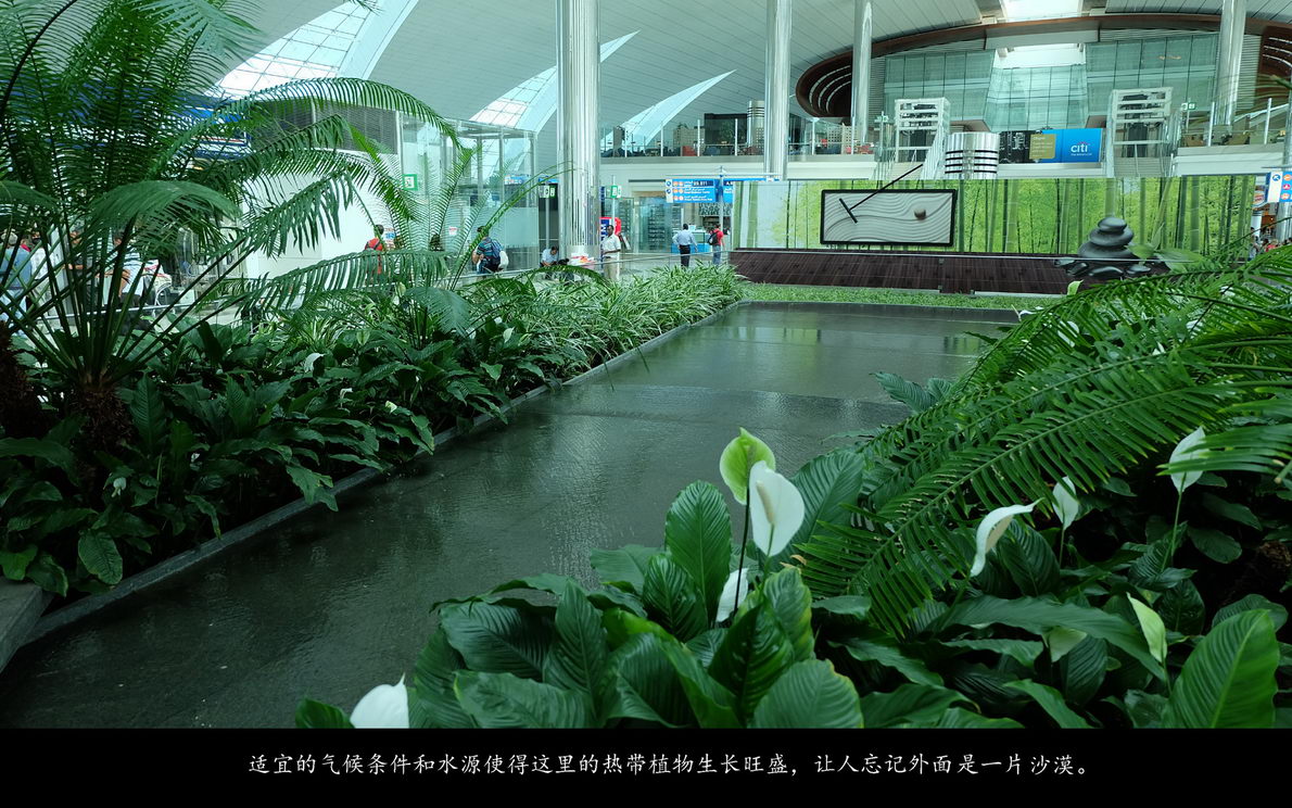 辉煌号地中海游（009）
