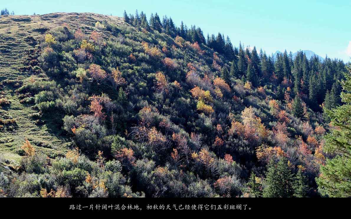 辉煌号地中海游（331）