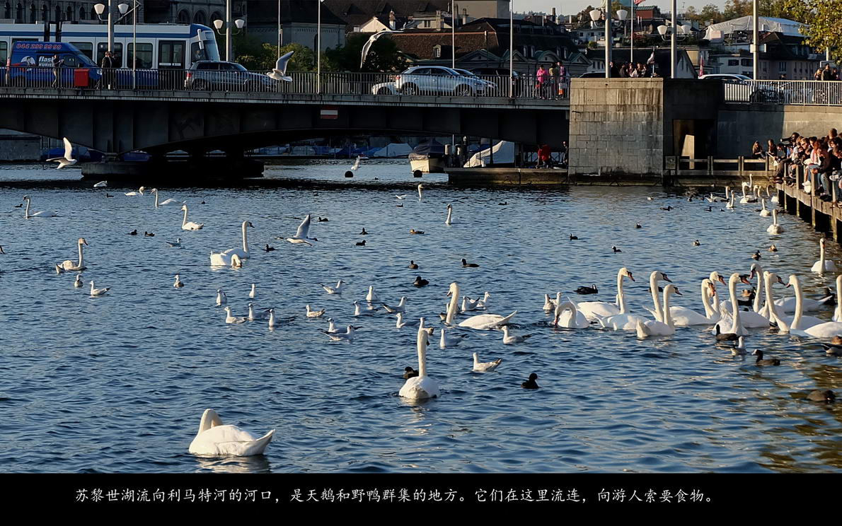 辉煌号地中海游（348）